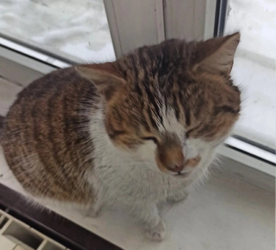 тут можно погреться