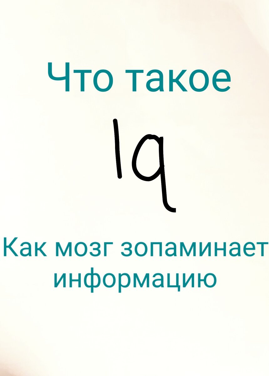 Как зопомнить любую информацию? | Writer | Дзен