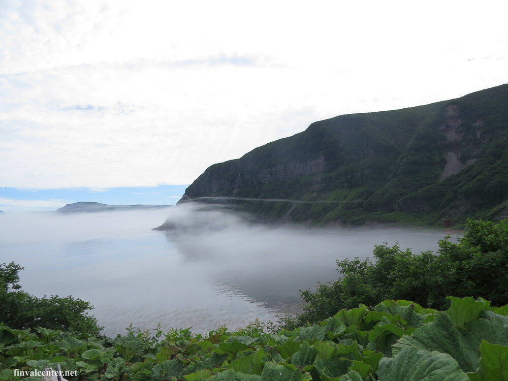 Бухта Китобойная ( листайте галерею)