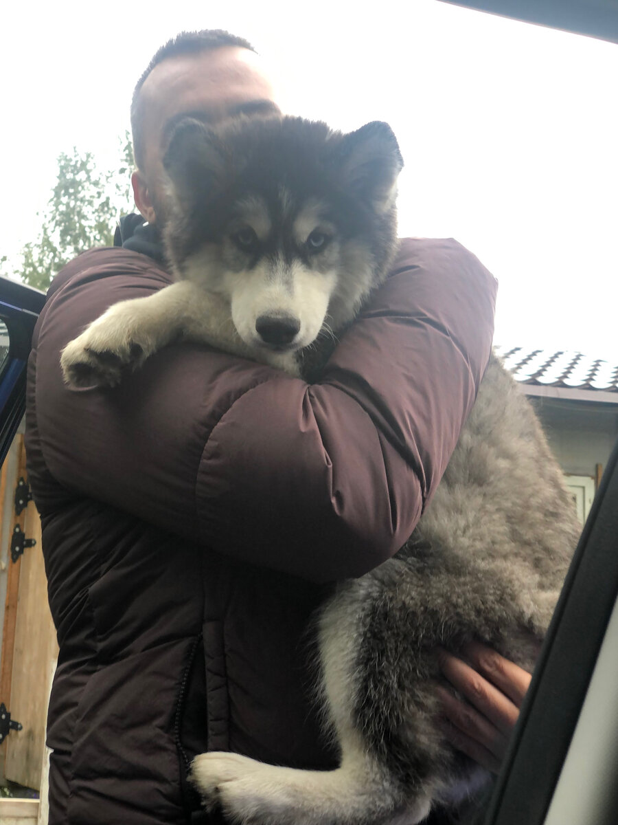 Когда держит в руках мечту