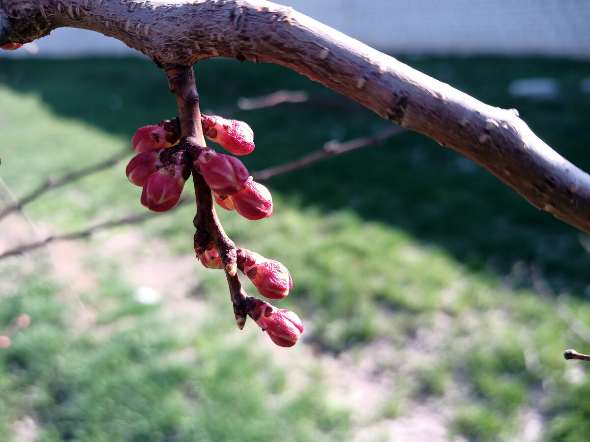 Листайте галерею. Там есть ещё фото