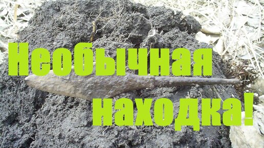 Необычная находка!!! (Архив 2021 г)