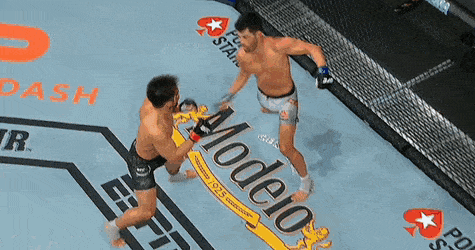 Концовка боя Доминик Круз vs Генри Сехудо