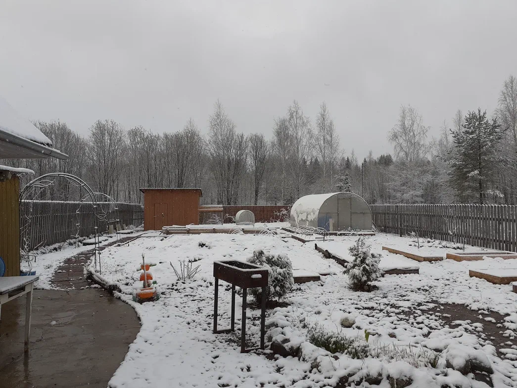 В апреле мы приезжаем на дачу на шашлыки