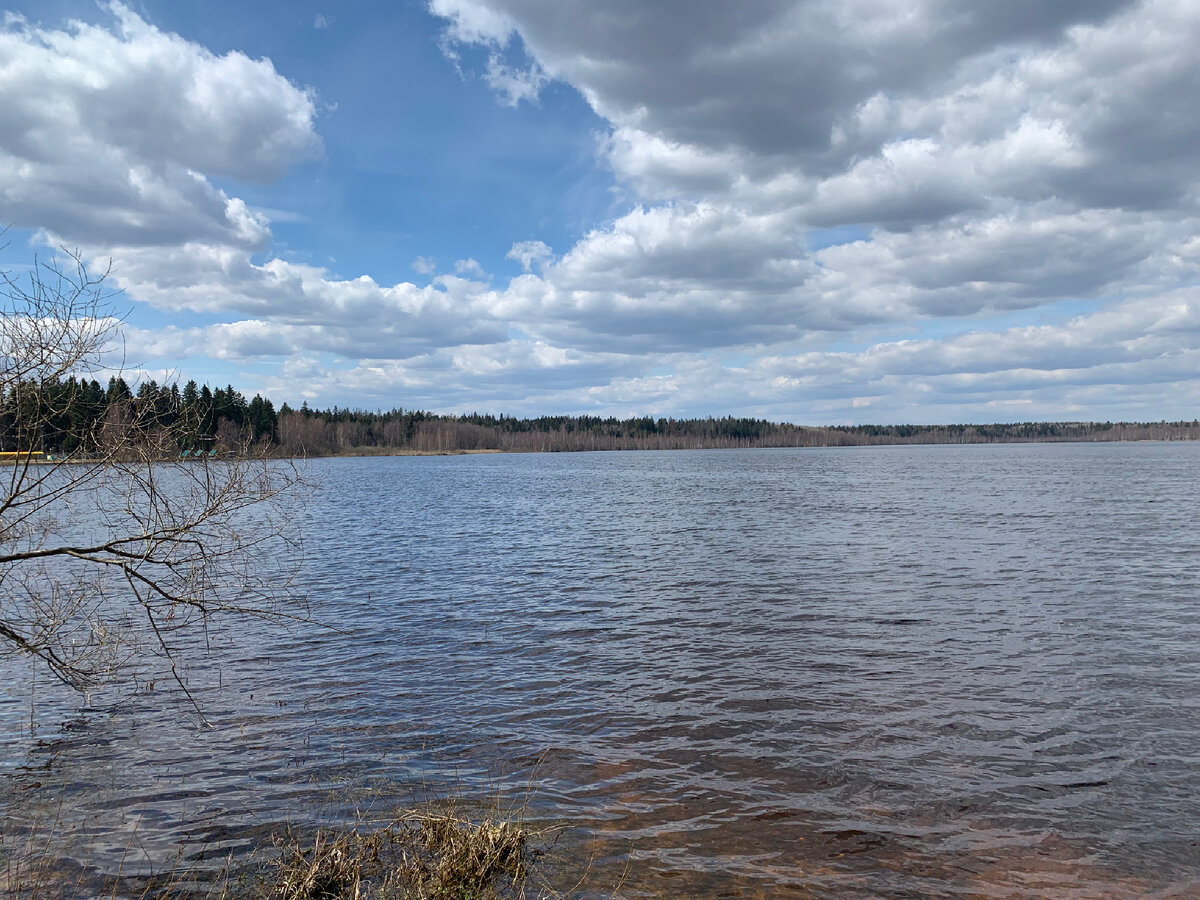 Долгое озеро (весна 2022г)