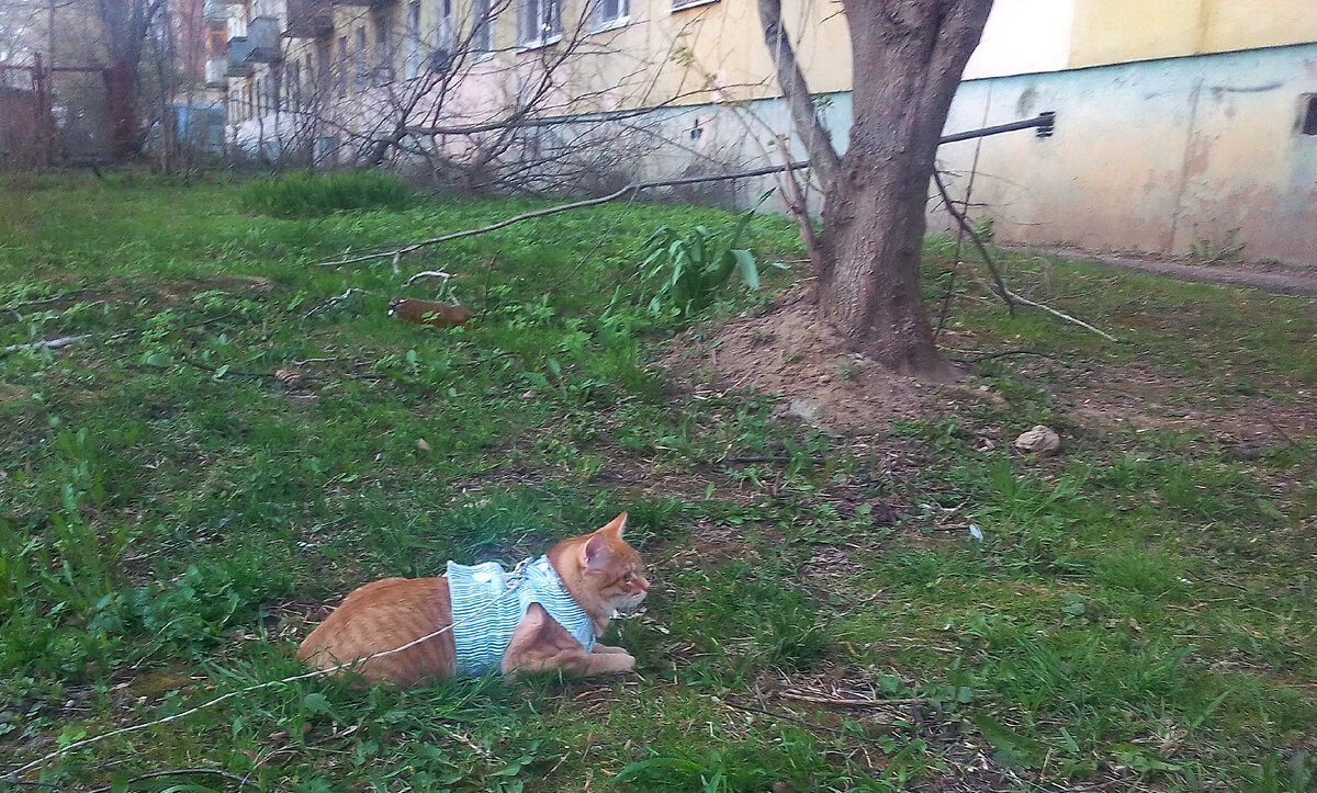 Личное фото. 