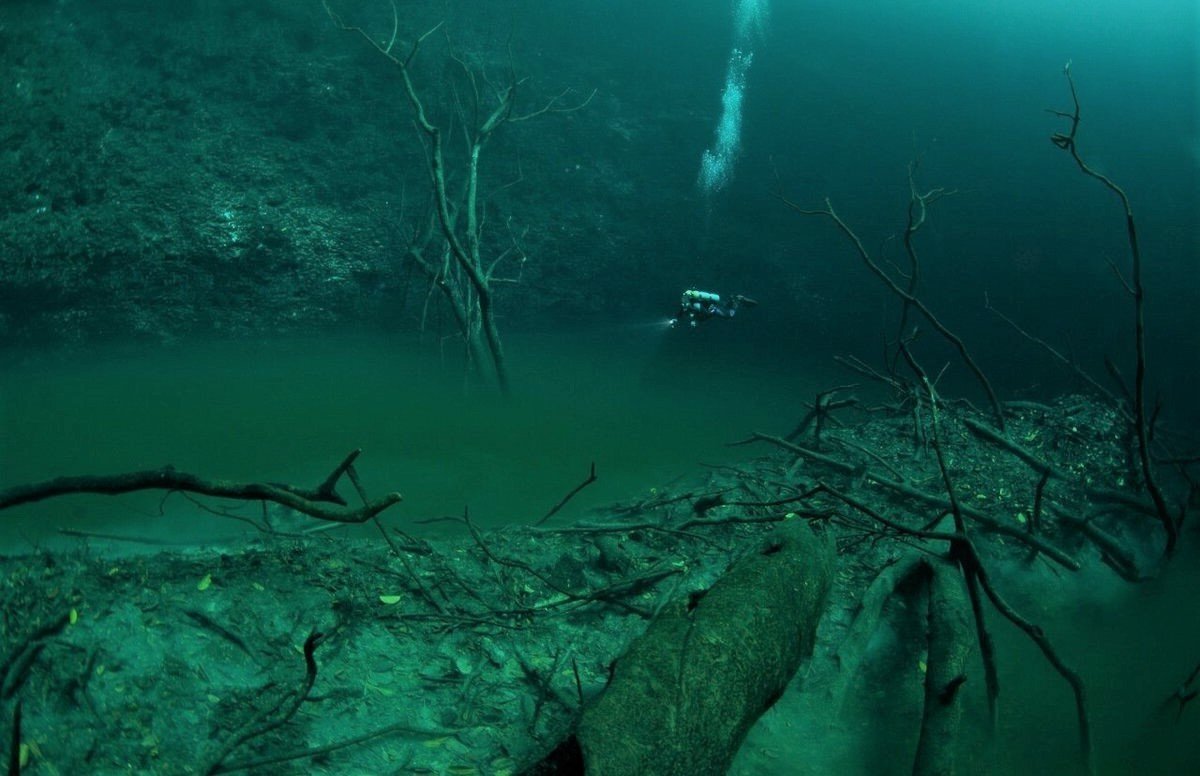 Сероводород в черном море