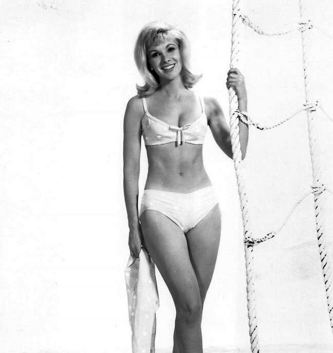 Звезды кино 1960-х:  Сьюзен Хэмпшир