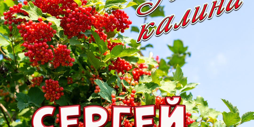 У реки калина