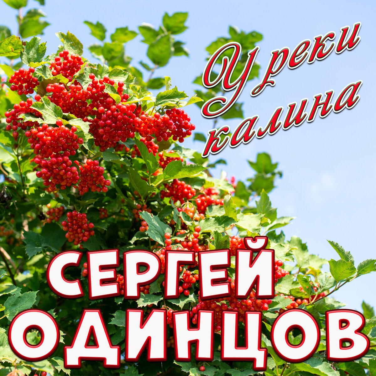 Калина над водой слушать. Калина у реки. Калина над водою. Анимация Калина над рекой.