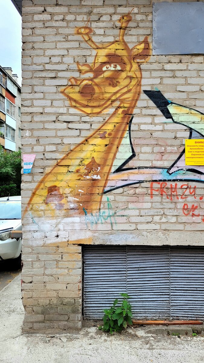 Вот такой зоопарк попался.