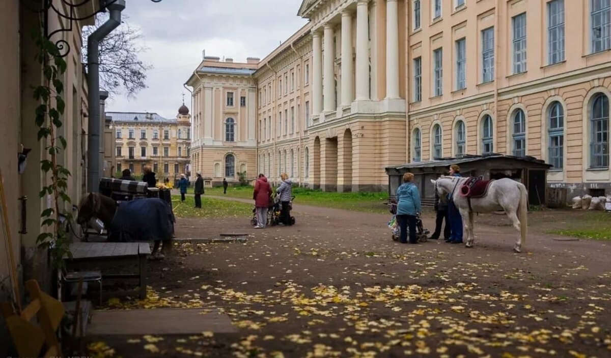 Конюшни санкт петербурга. Сад Академии художеств в Санкт-Петербурге. Двор Академии художеств в Санкт-Петербурге. Конюшня при Академии художеств Санкт-Петербург. Академия художеств СПБ сад.