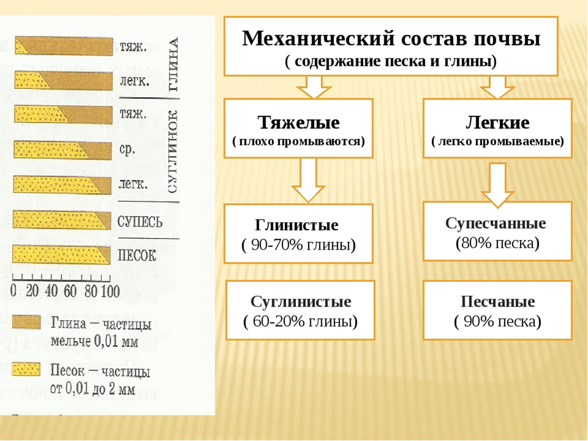 Структура песчаной почвы. Различие почв схема. Механический состав почвы. Механическая структура почвы. Механический состав песчаной почвы.