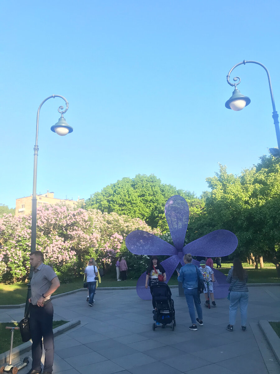 У такого цветка пятый листик не оторвешь😁