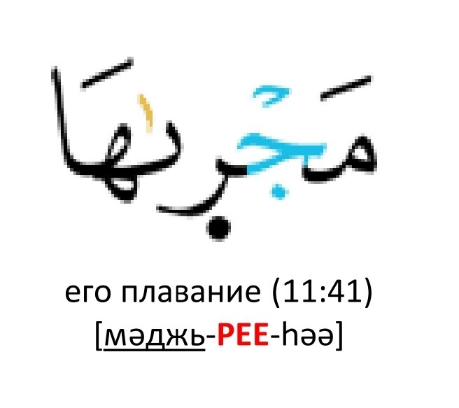 Коран 11:41
