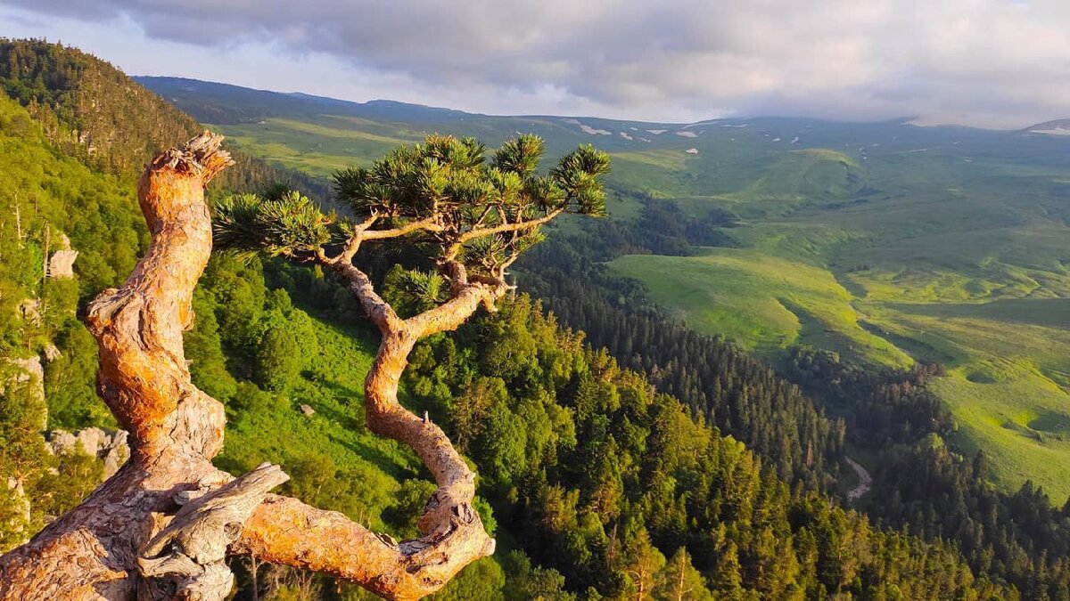 Плато Лагонаки смотровая