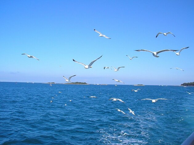 Источник Яндекс картинки