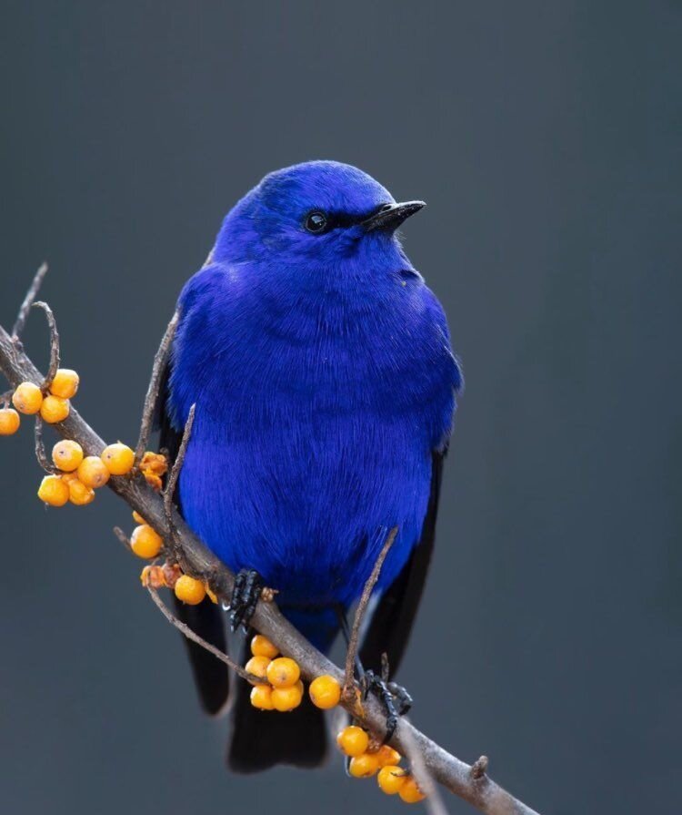 Что ты знаешь о натуральных оттенках? 
