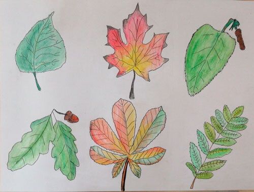 Осенние рисунки легкие для детей на тему Осень - листья пейзаж природа красками - Рисуем вместе