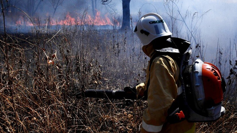   РИА Новости