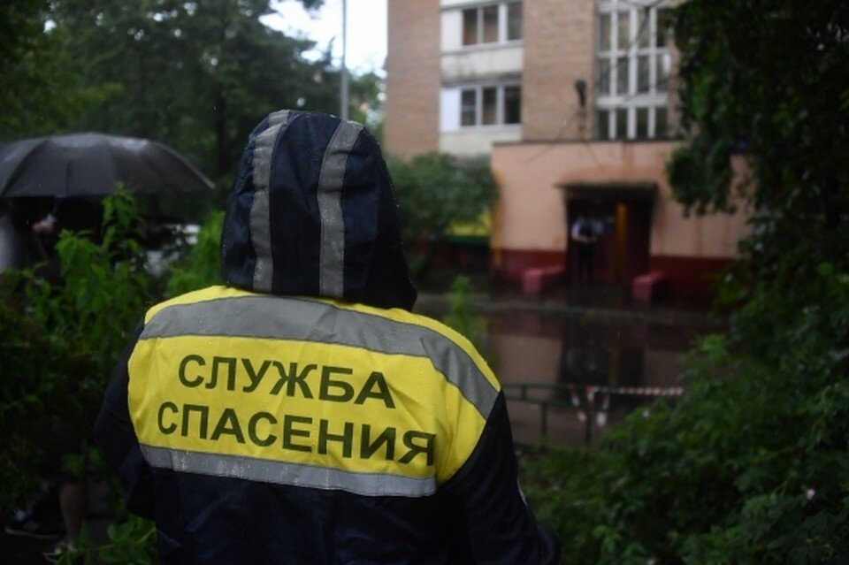     Волгограде спасатели вызволили упавшего в трубу котенка Иван МАКЕЕВ