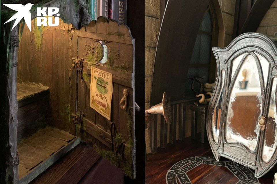     Туалет Шрека взорвал Tik-Tok, видео с ним набрали больше 12 млн просмотров. Фото: Предоставлены Анастасией Шейкнехт