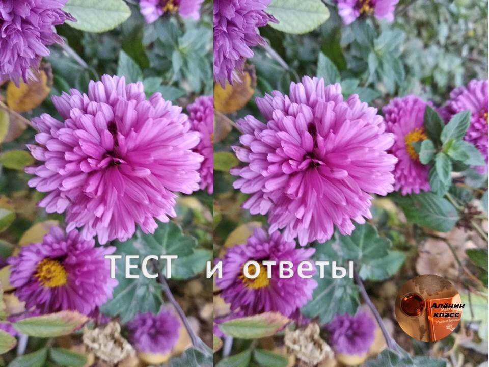 Добрый день!