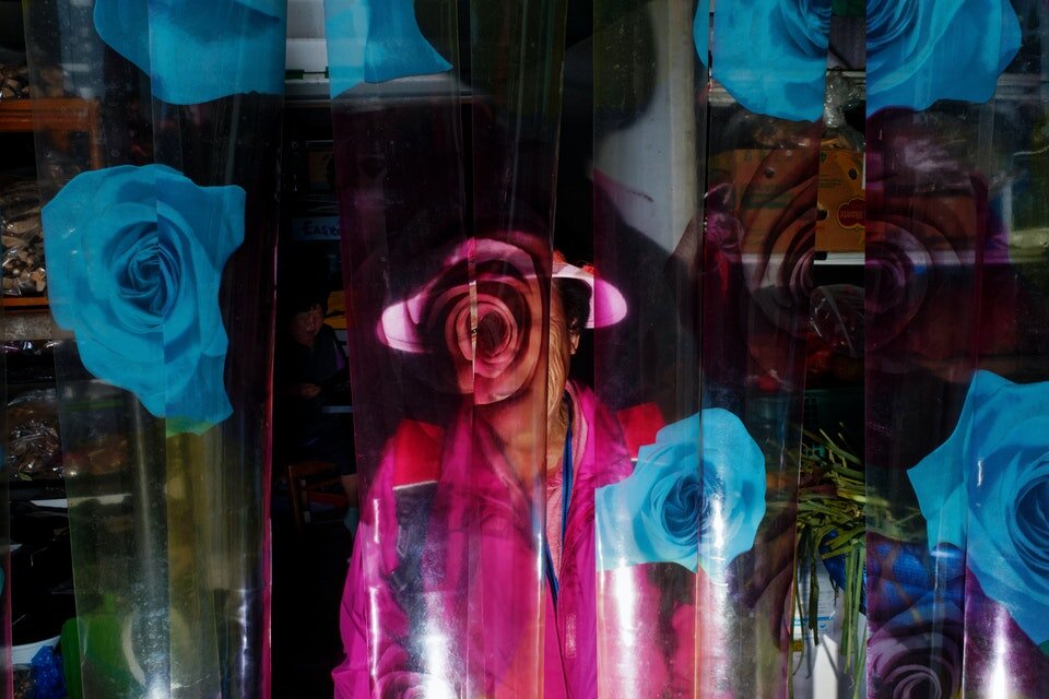 © Argus Paul Estabrook, BJP IPA