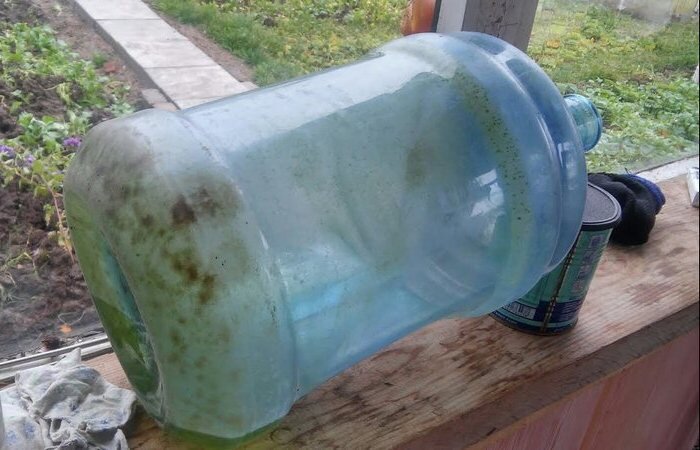  Канистры, бутылки, баклажки и даже ведра, оставленные не в то время и не в том месте, рискуют рано или поздно покрыться зелеными водорослями. Существует и множество других видов загрязнения сосудов.