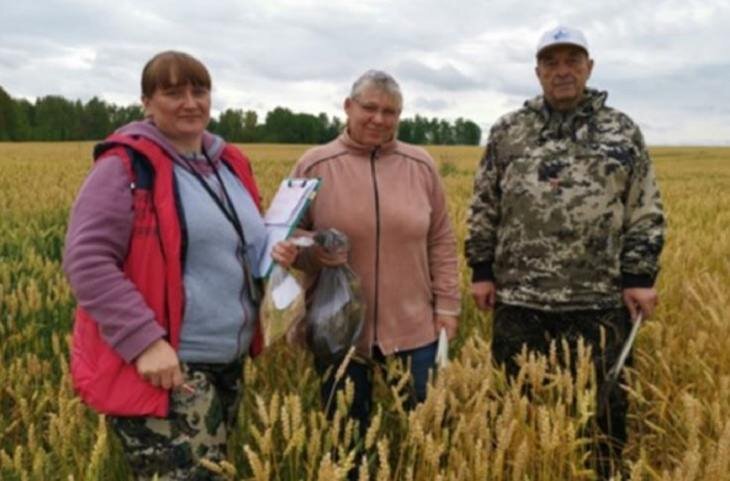    Арифметика в конце сезона по недобору урожая показывает важность протравителей