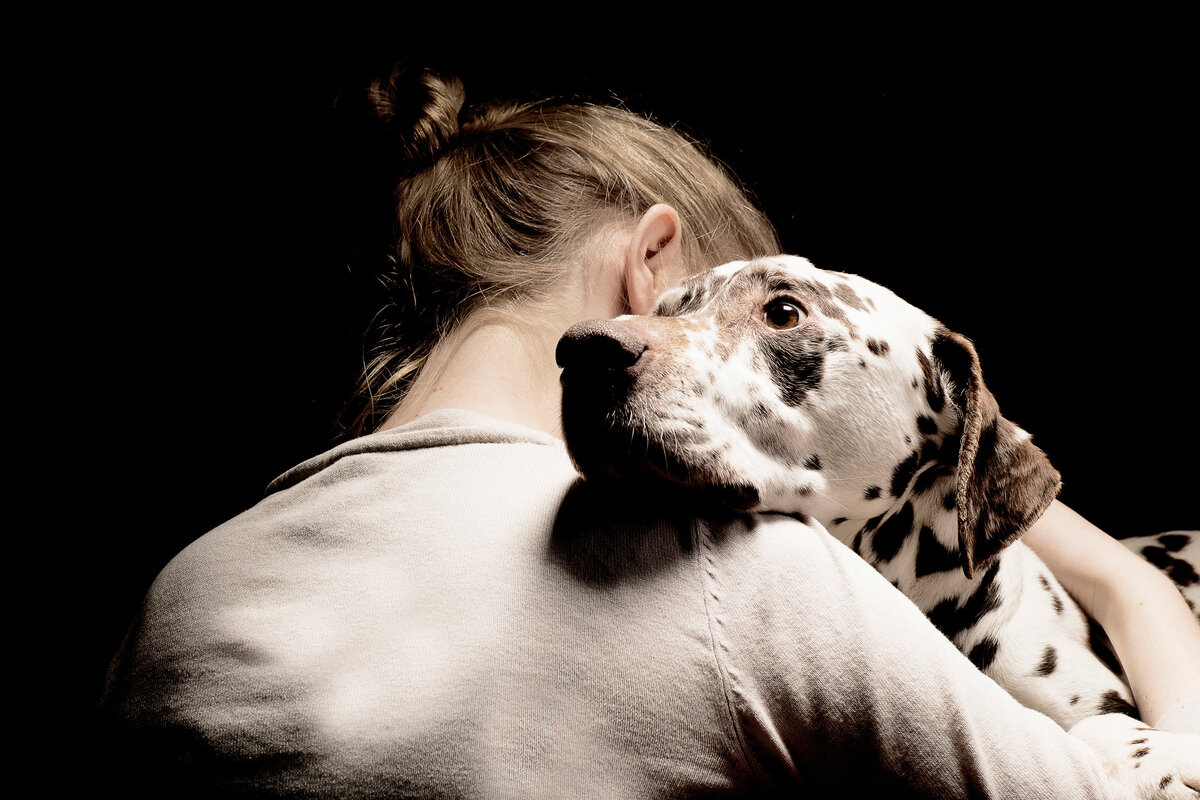     Вы думаете, что собака — друг человека? Эксперт снимет розовые очки