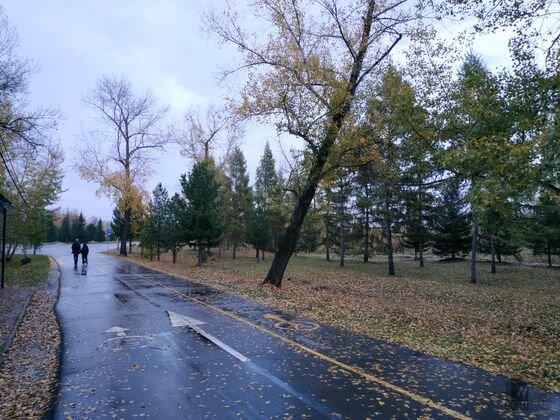    Красноярск. Осенний Татышев Андрей Никитин © ИА REGNUM