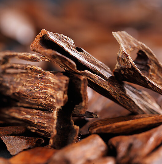 Фото из открытых источников.