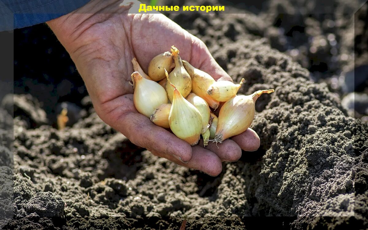 https://vk.com/photo-159774511_457255940
