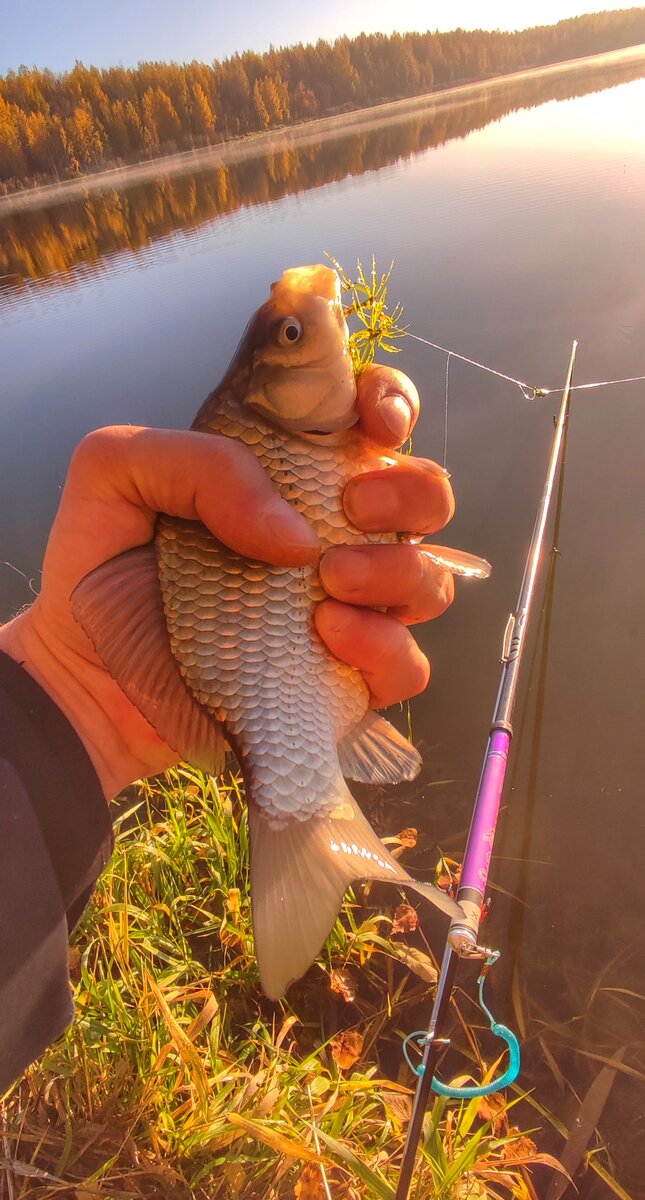 первый на Корею