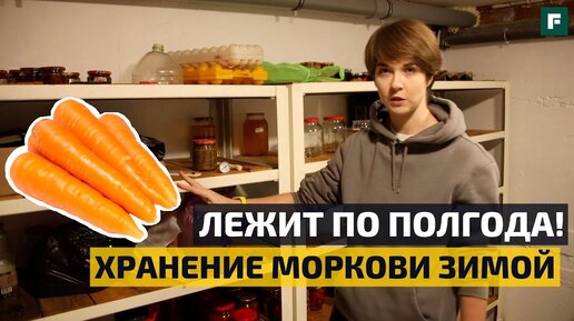 Télécharger la video: Через 5 месяцев морковь как свежая! Лучший способ хранения! // FORUMHOUSE