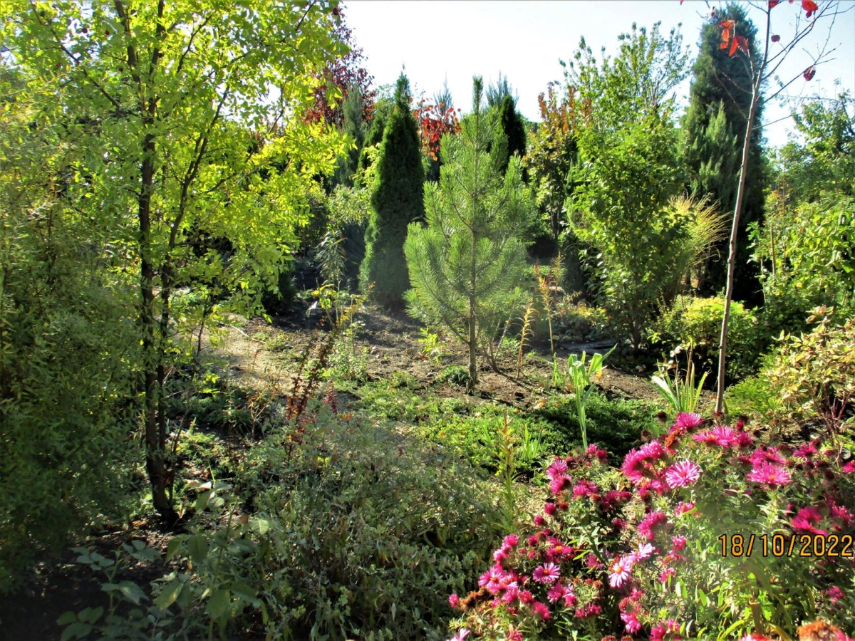 Лучшие сорта цветов