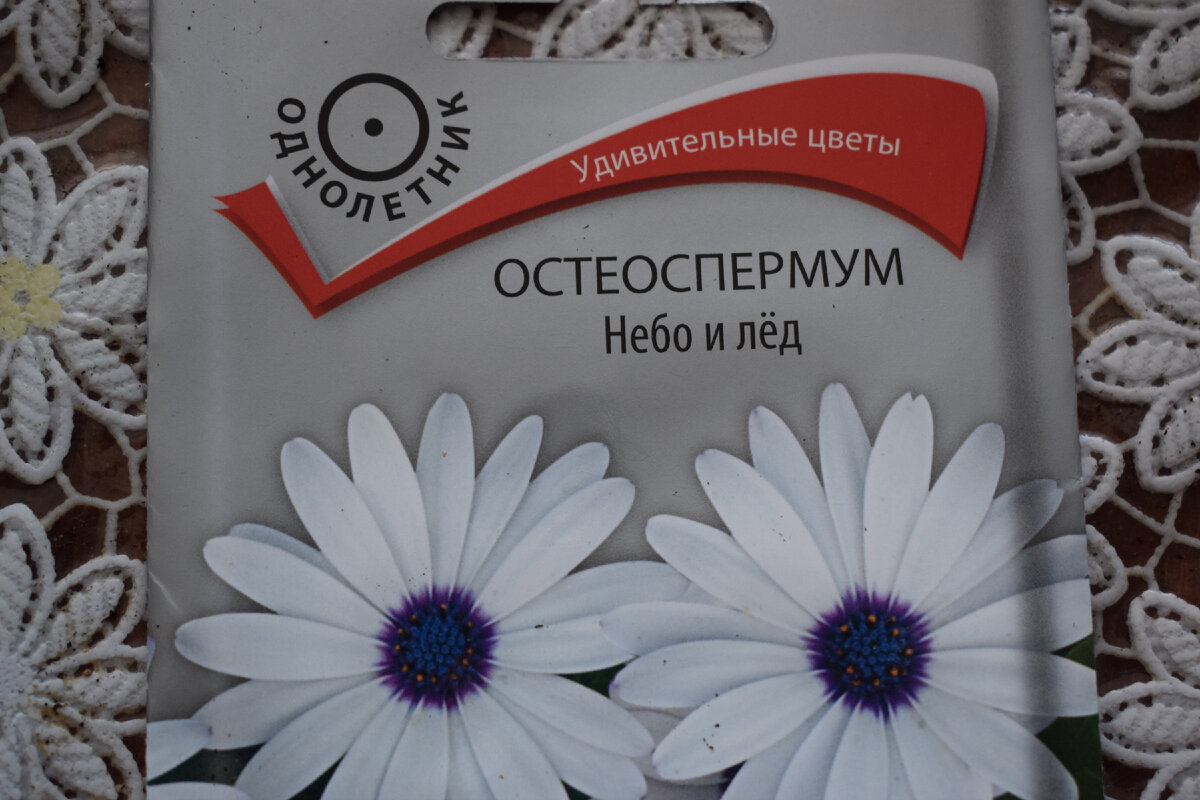 семена(фото автора)