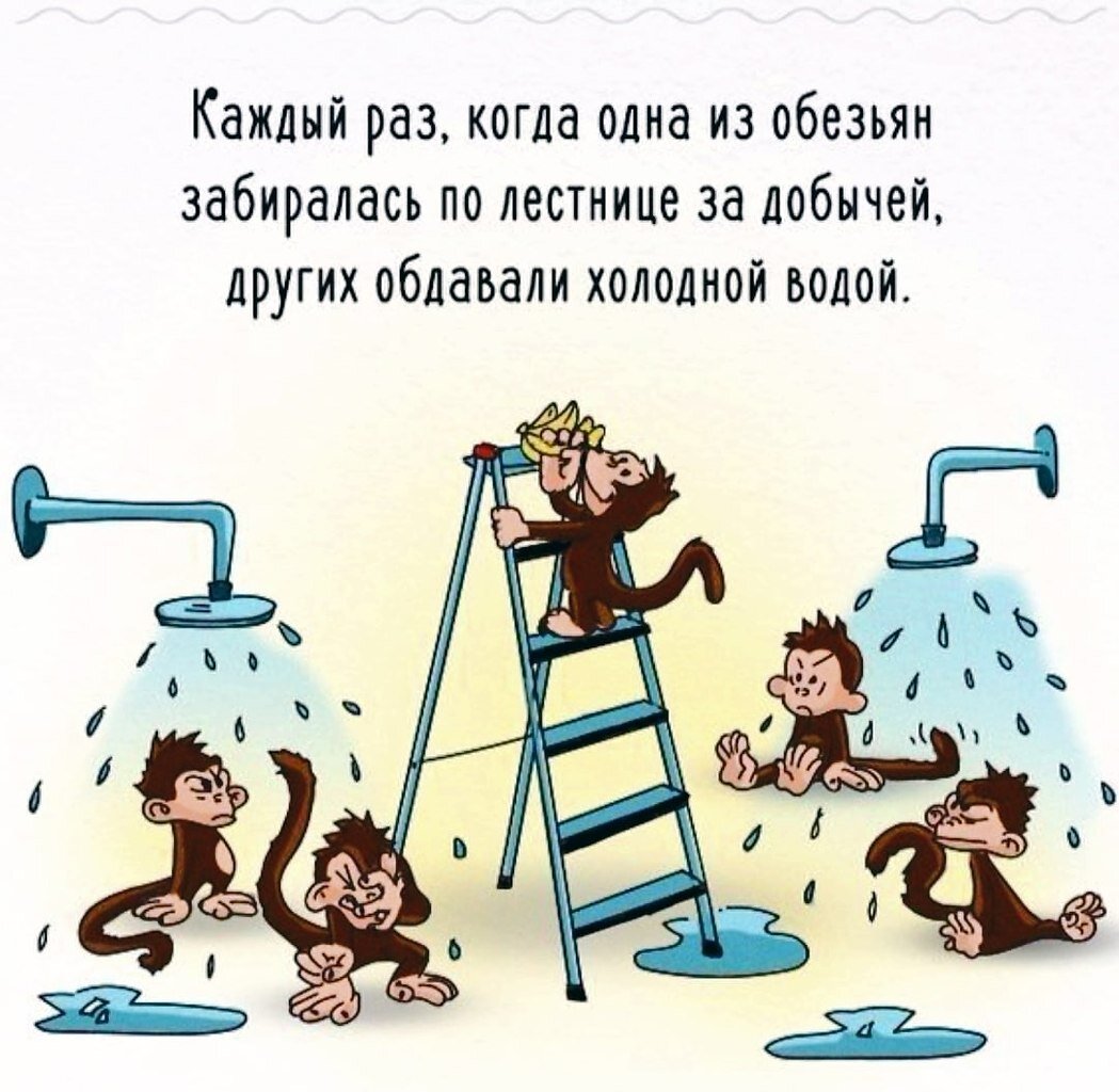 Новый раздел в блоге про работу и локальные итоги 42 к/н. | Накопительный  зонД | Дзен