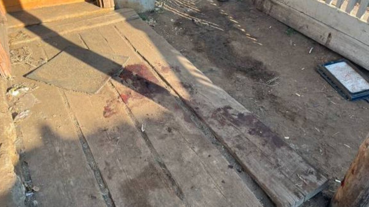     Агрессивные псы принадлежали родственникам погибшей. Животные вырвались из вольера и напали на женщину ночью.