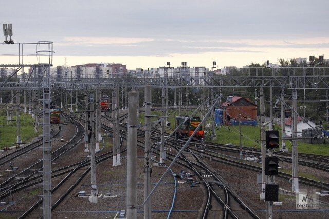    Железнодорожные пути Дарья Драй © ИА REGNUM