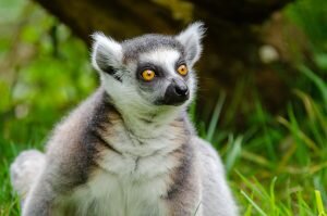    Фото: pxhere.com Ирина Мудрых