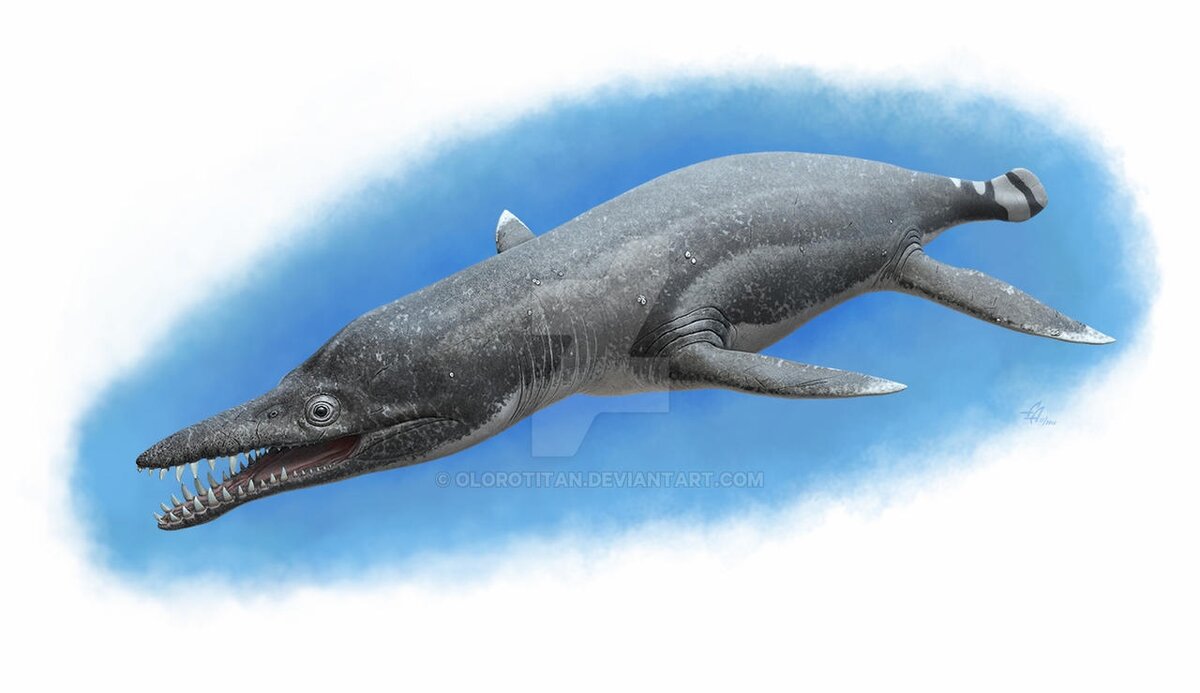 Прилете с югов и неплохо загорел.