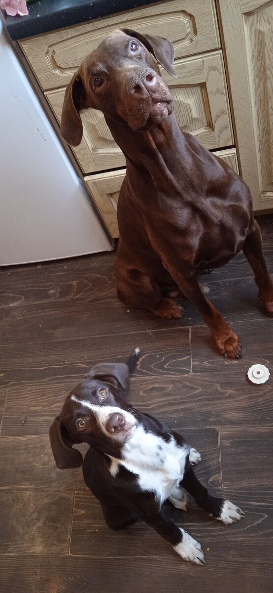 Заниматься? Заниматься!! 