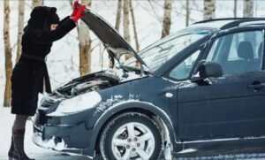    Фото: twitter.com Юлия Карягина