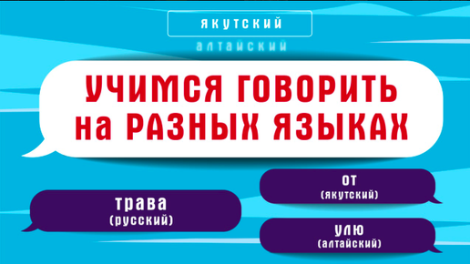 Фото и видео отеля Трава. Рейтинг отелей и гостиниц мира - TopHotels.