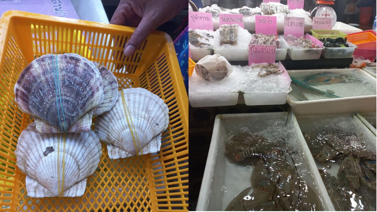 На фото слева - гребешки, а справа - самый необычный для меня обед - мечехвост