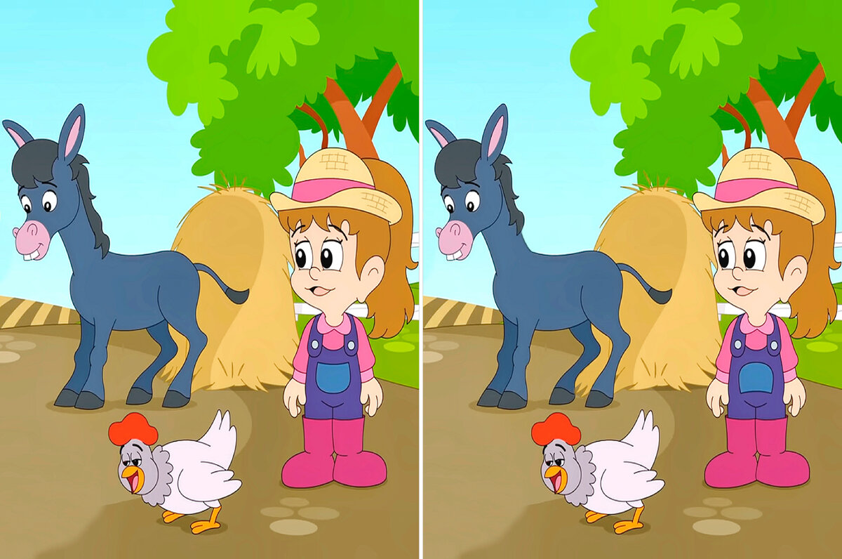 3 отличия