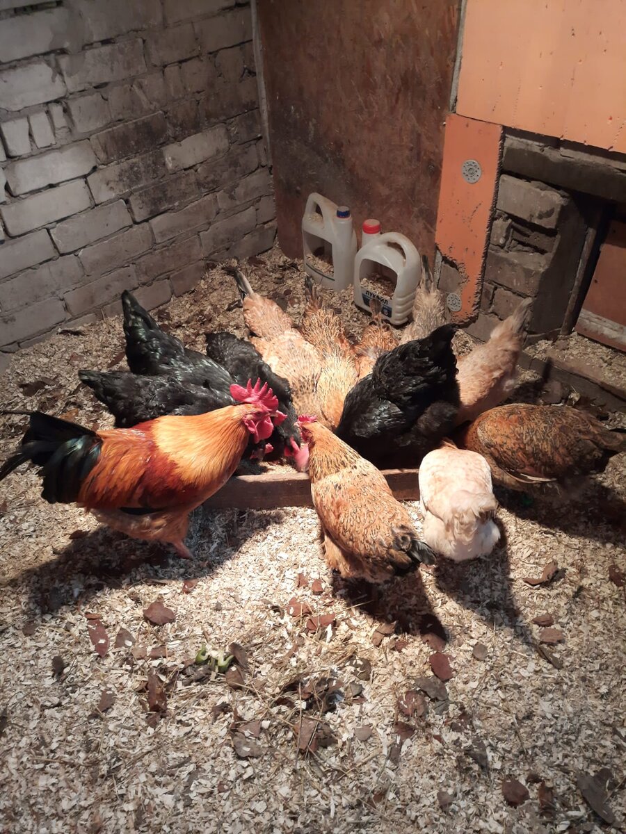 Дружный завтрак)