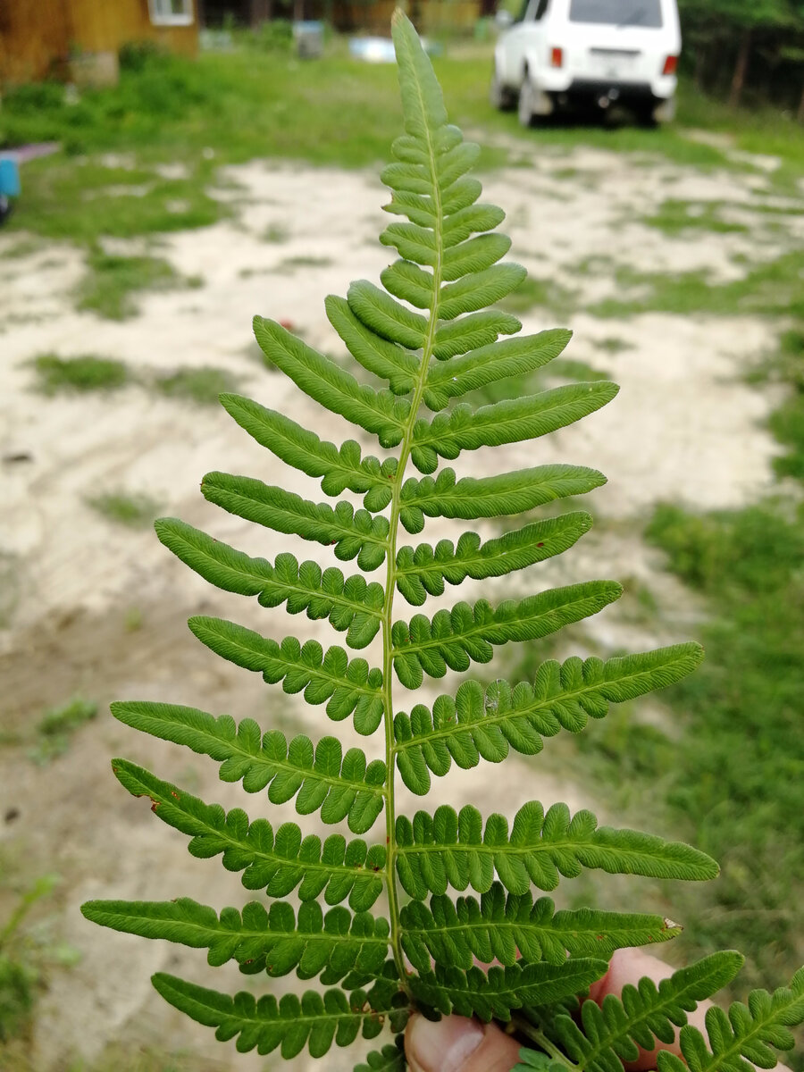 Фото автора. 